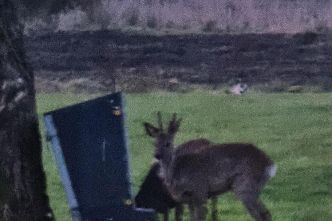 Photo of Others in Graerup