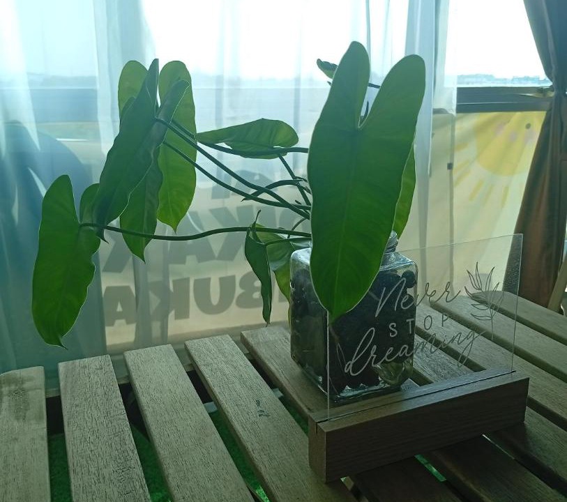 Photo of Others in Bandar Seri Iskandar