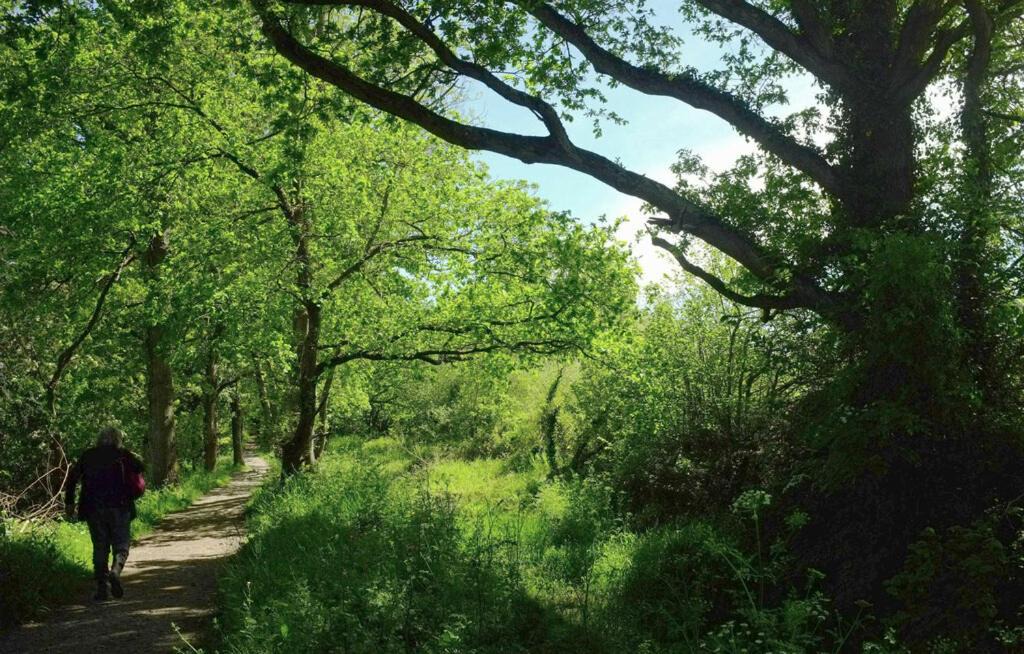 Photo of Others in Liverton