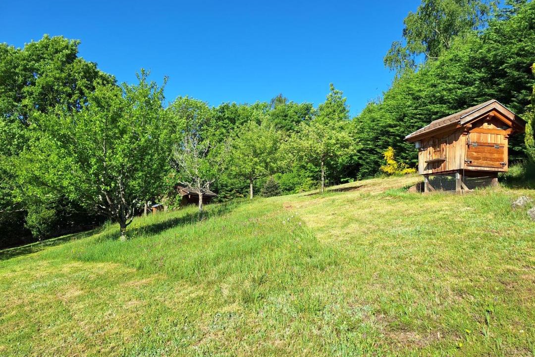 Photo of Others in Fellering