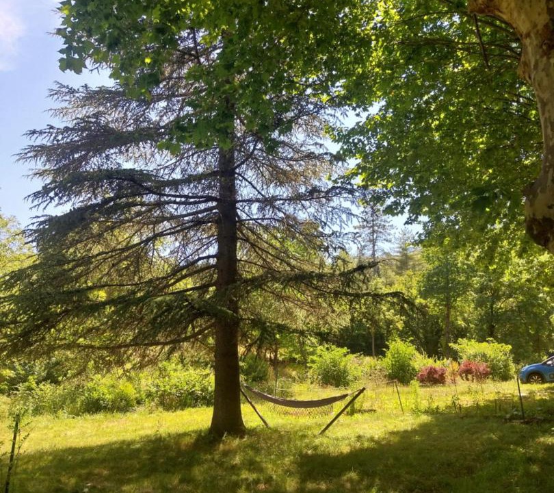 Photo of Others in Saint-Laurent-le-Minier