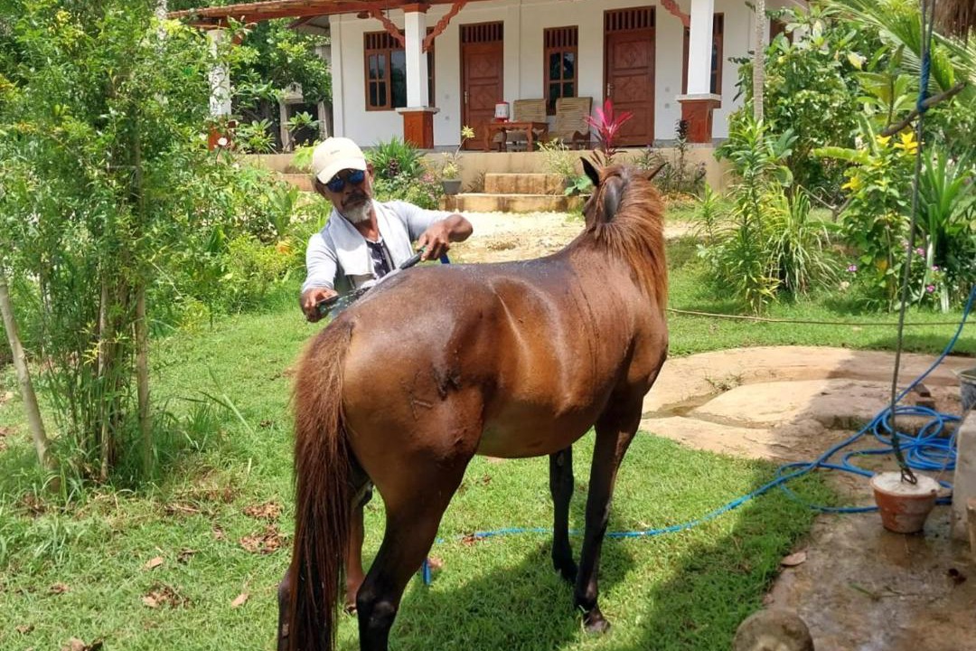 Photo of Others in Nihiwatu