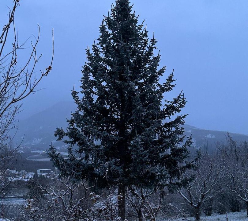 Photo of Others in Vitrolles