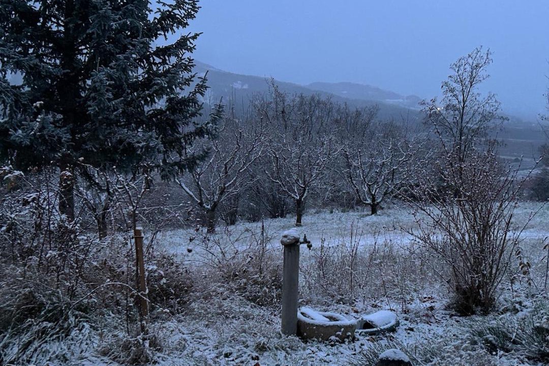 Photo of Others in Vitrolles