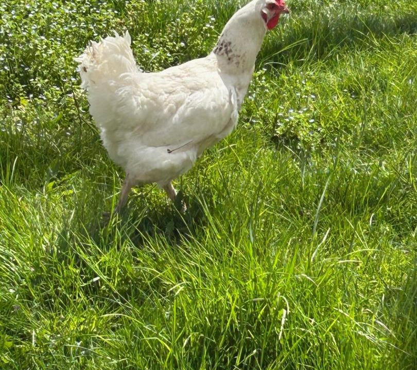 Photo of Others in Vitrolles