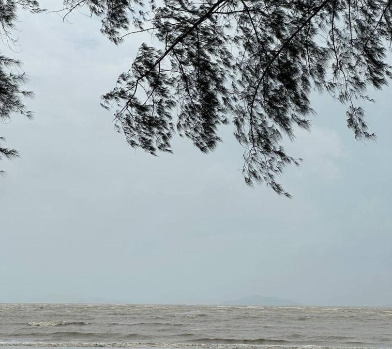 Photo of Others in Mersing