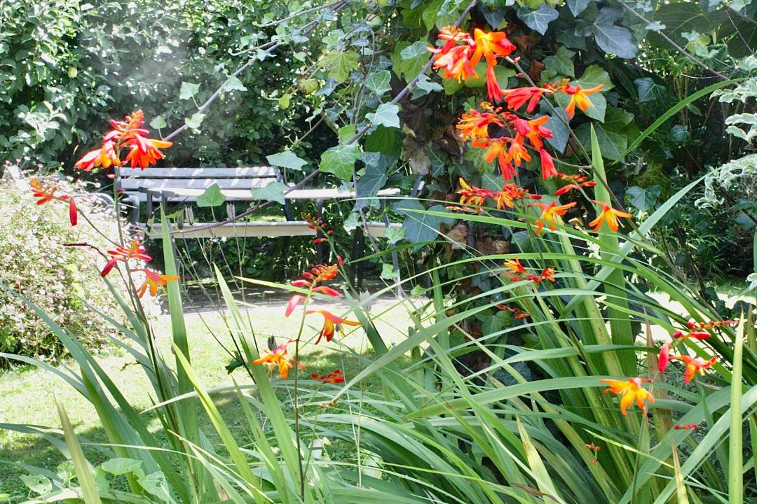 Photo of Others in Charlestown