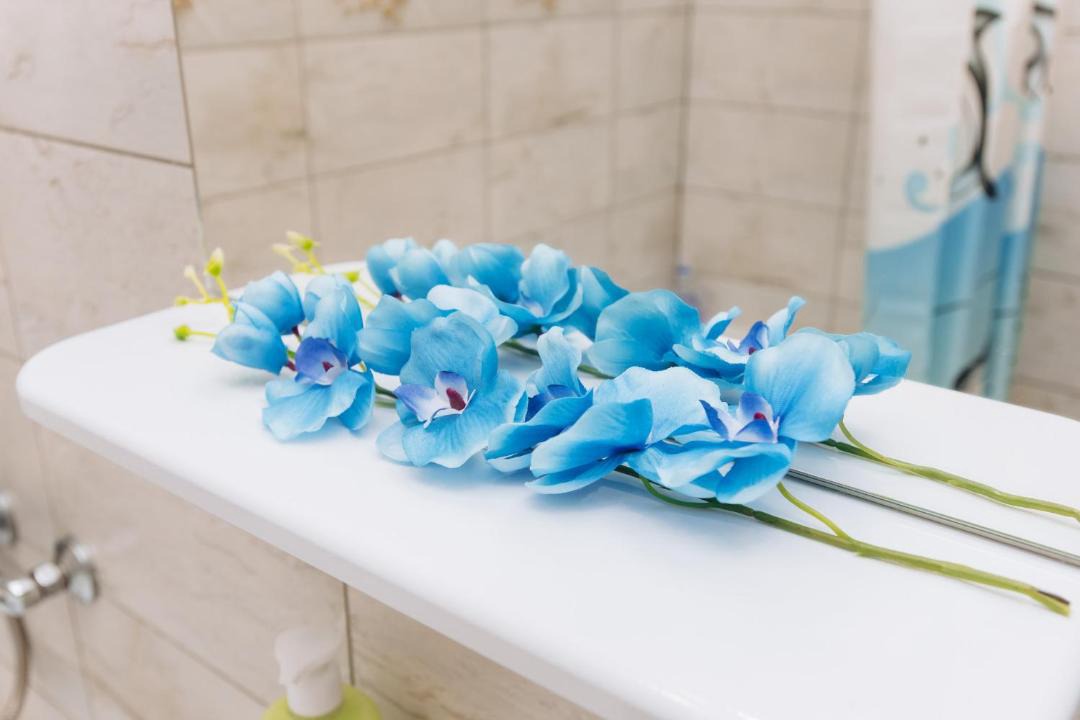 Photo of Others in Chkalovskiy rayon