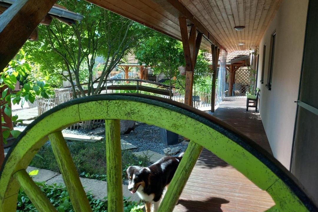 Photo of Others in Brouviller