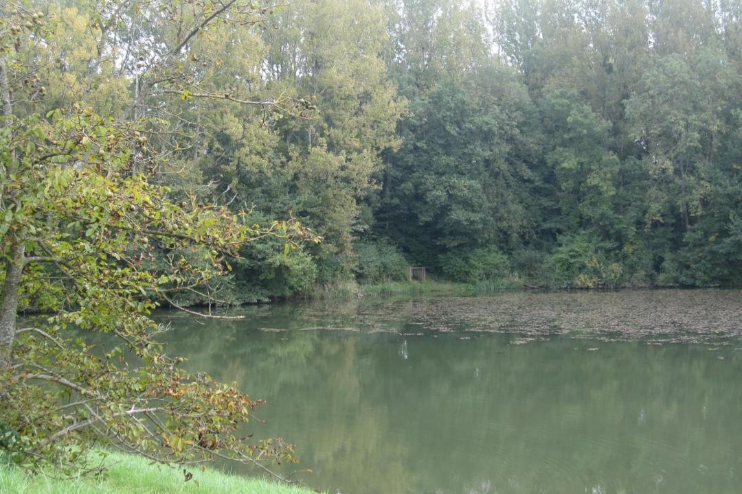 Photo of Others in Heuilley-sur-Saone