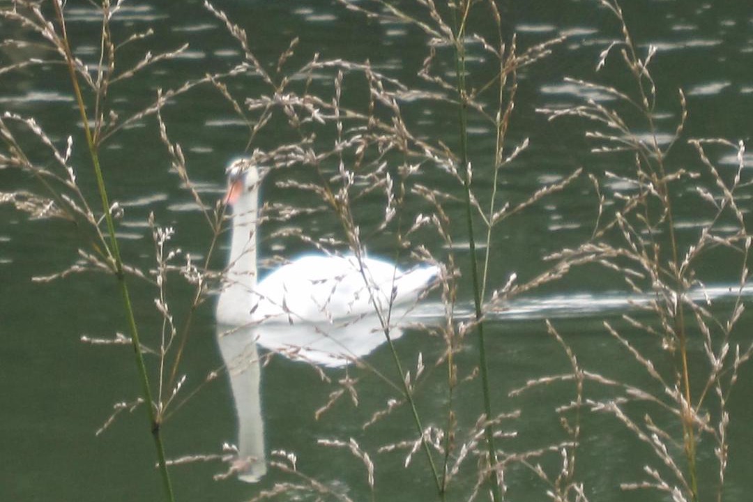 Photo of Others in Heuilley-sur-Saone