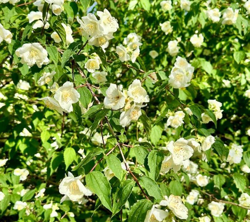 Photo of Outdoor in Vallon-Pont-d'Arc