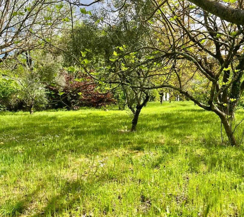 Photo of Outdoor in Vallon-Pont-d'Arc