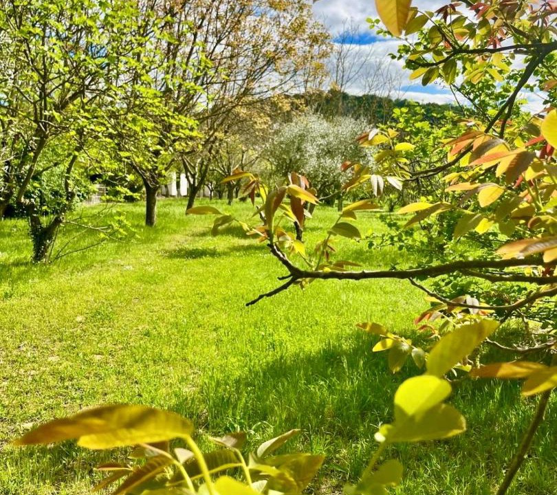 Photo of Outdoor in Vallon-Pont-d'Arc