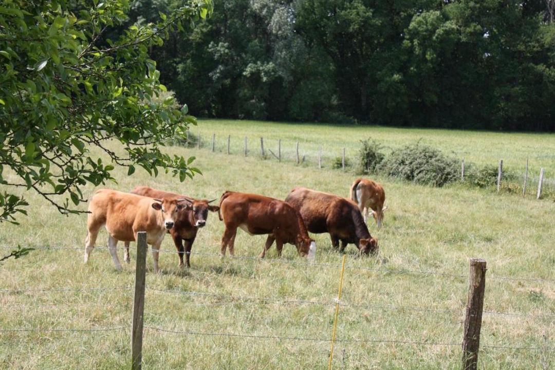 Photo of Others in Beaumont-en-Veron