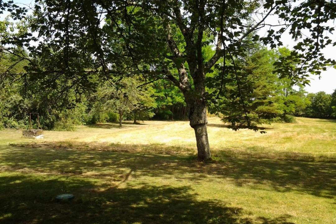 Photo of Others in Cheille