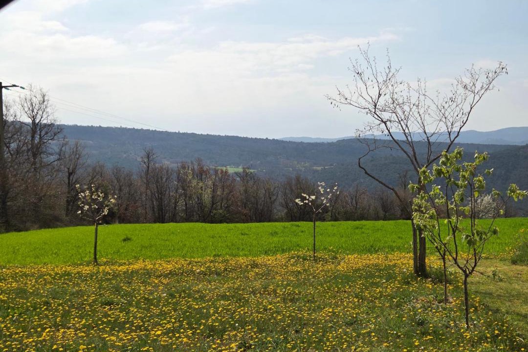 Photo of Others in Sainte-Croix-a-Lauze