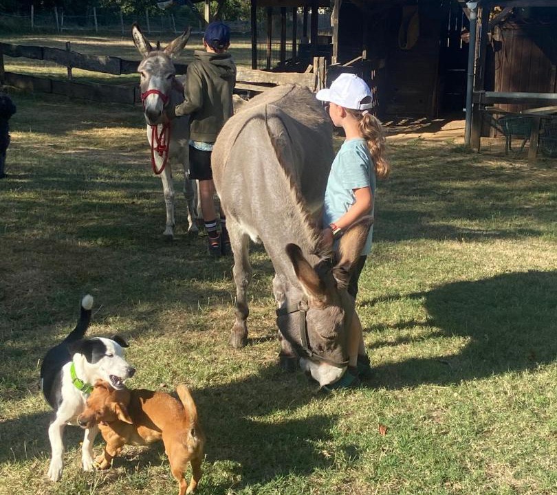 Photo of Others in Sainte-Nathalene
