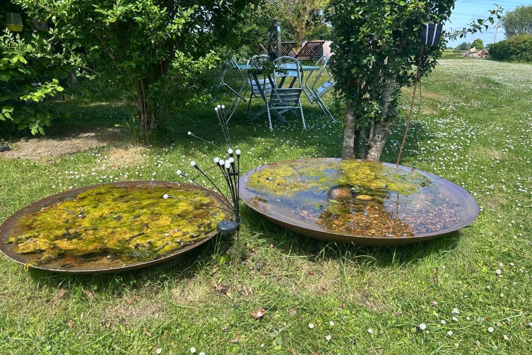 Photo of Others in Eye