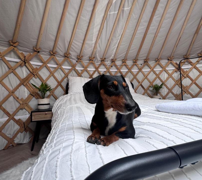 Photo of Others in Messing