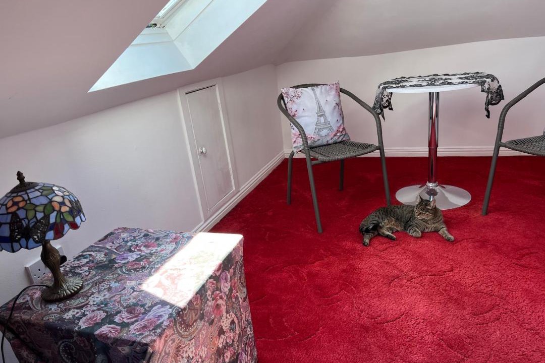 Photo of Others in Duddingston