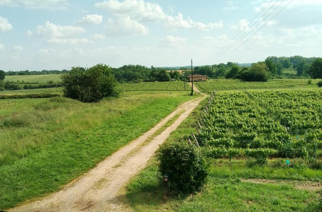 Photo of Others in Castex-d'Armagnac