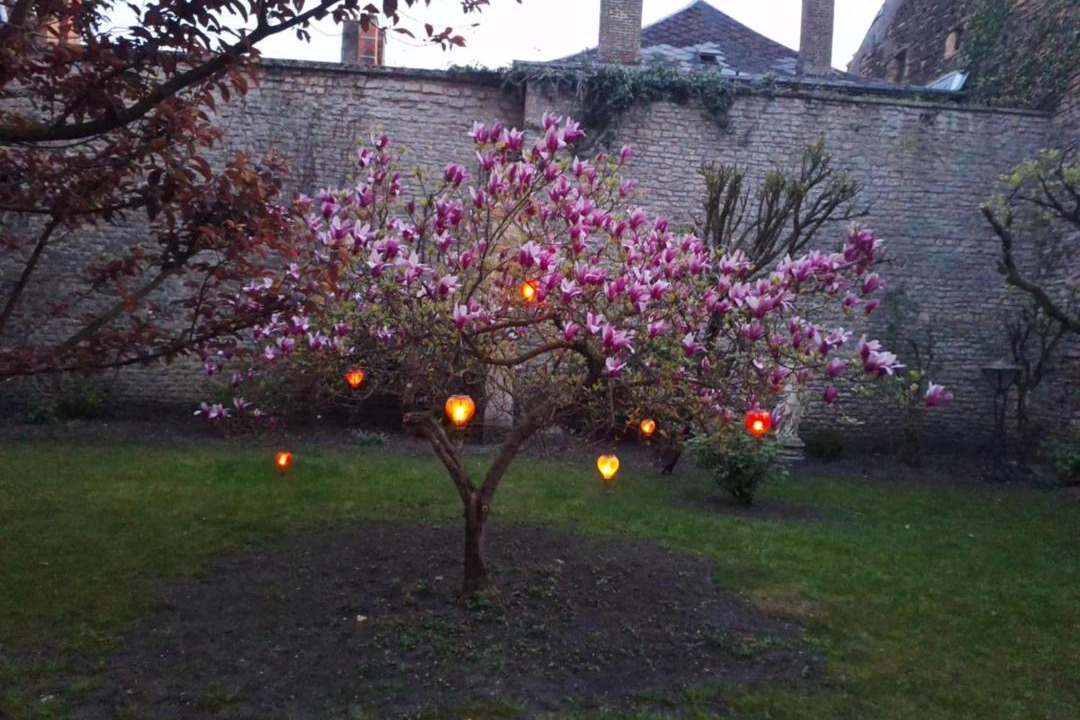 Photo of Others in Sedan