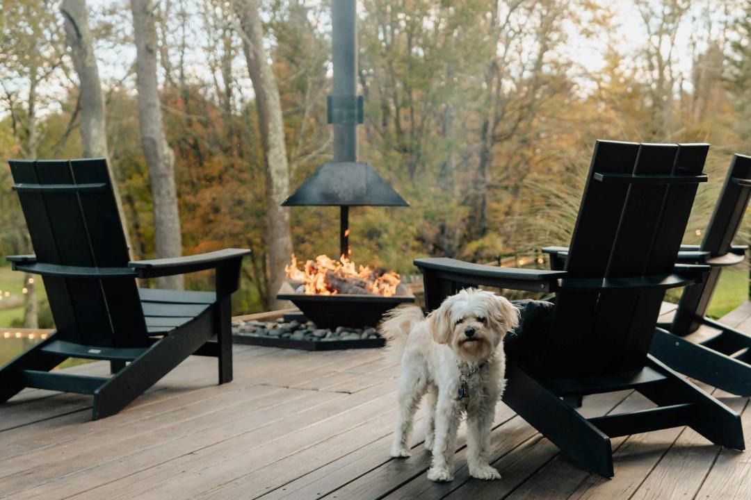 Photo of Others in Jeffersonville