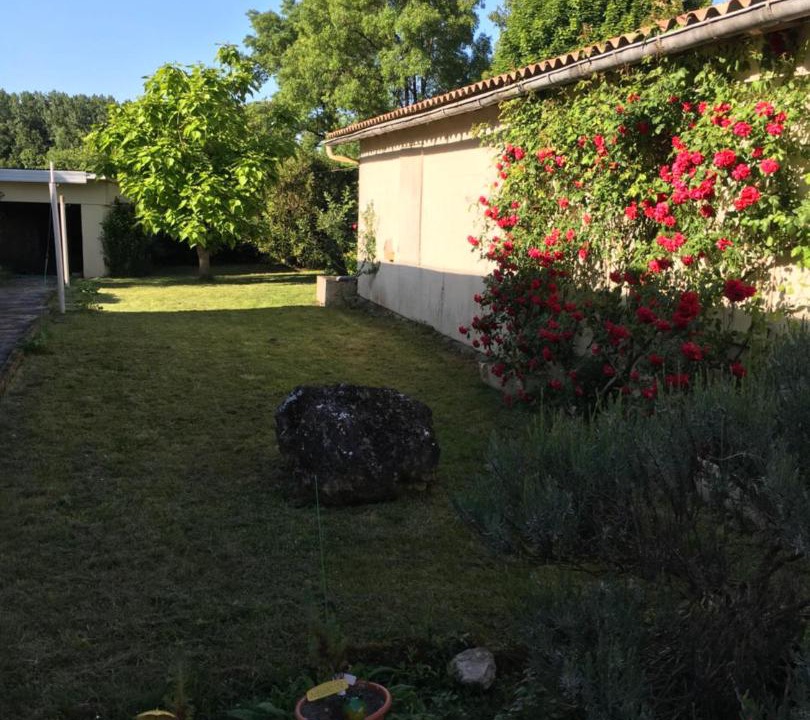 Photo of Others in Pons