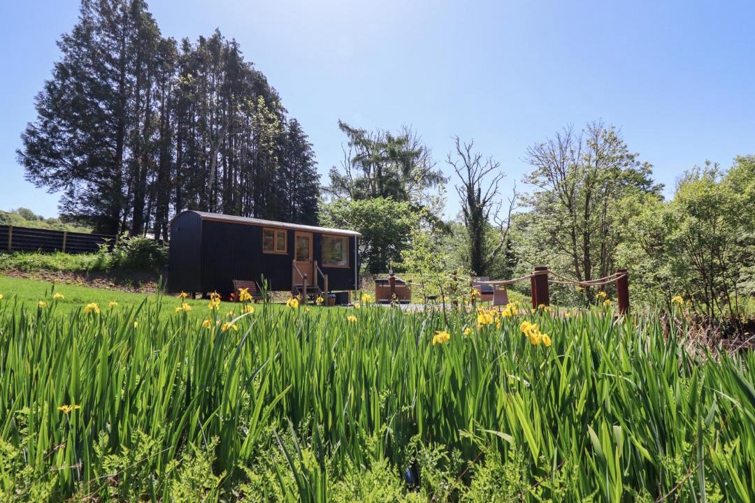 Photo of Others in Llanelltyd