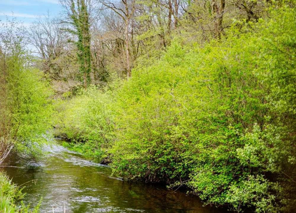 Photo of Others in Huelgoat