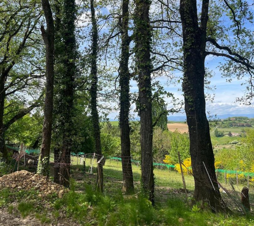 Photo of Others in Saint-Bardoux