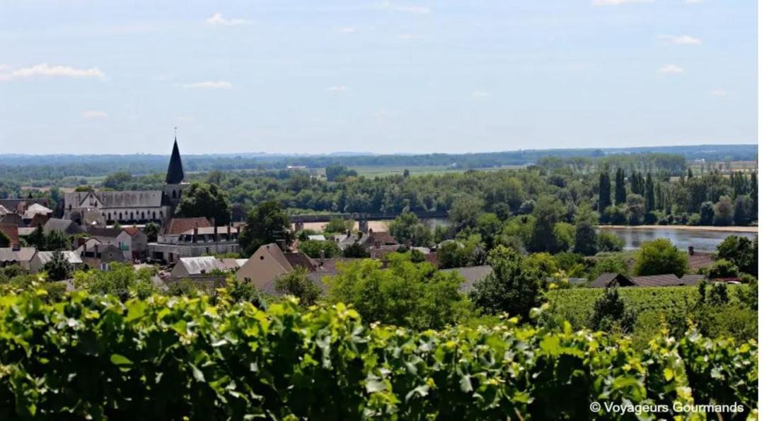 Photo of Others in Pouilly-sur-Loire