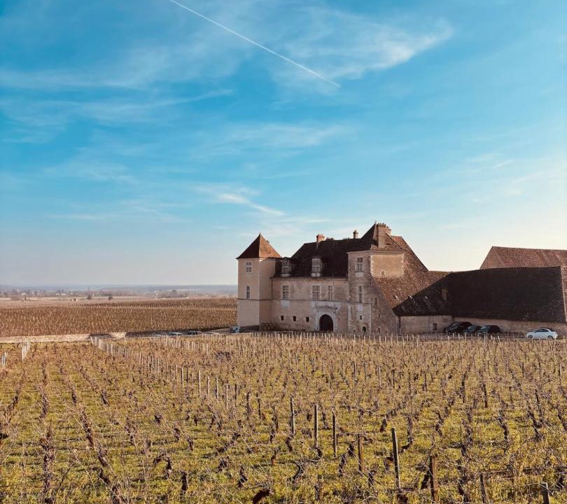 Photo of Others in Gevrey-Chambertin