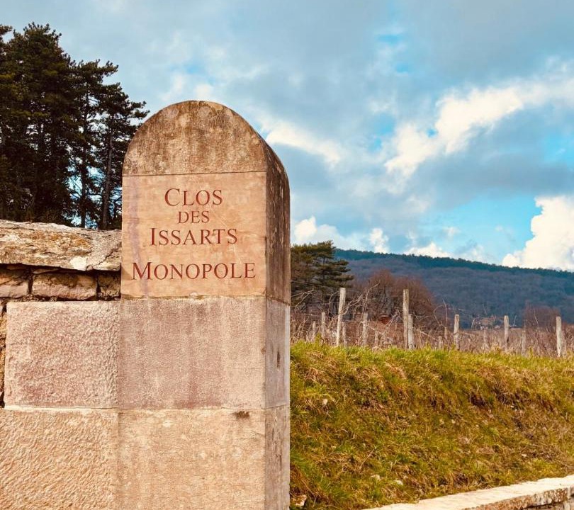 Photo of Others in Gevrey-Chambertin