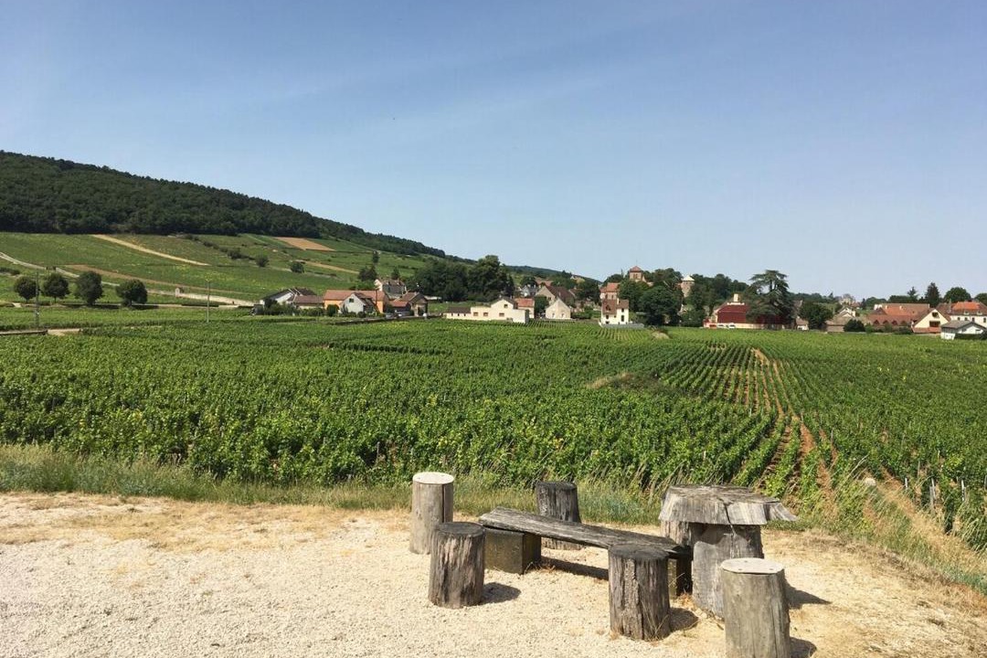Photo of Others in Gevrey-Chambertin