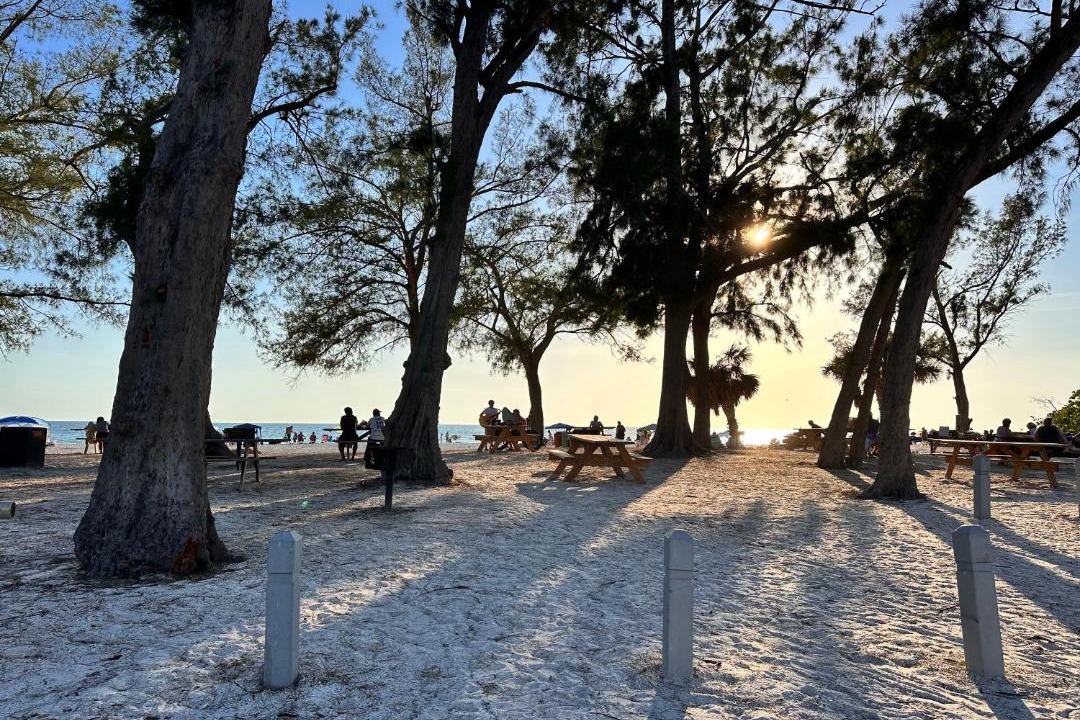 Photo of Others in Holmes Beach