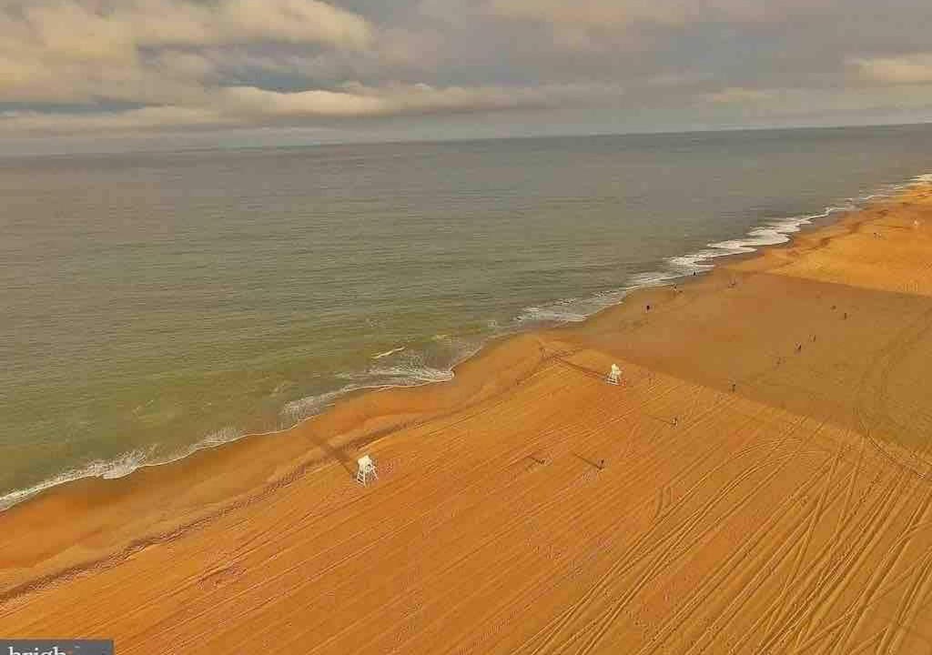 Photo of Human In Picture in Rehoboth by the Sea