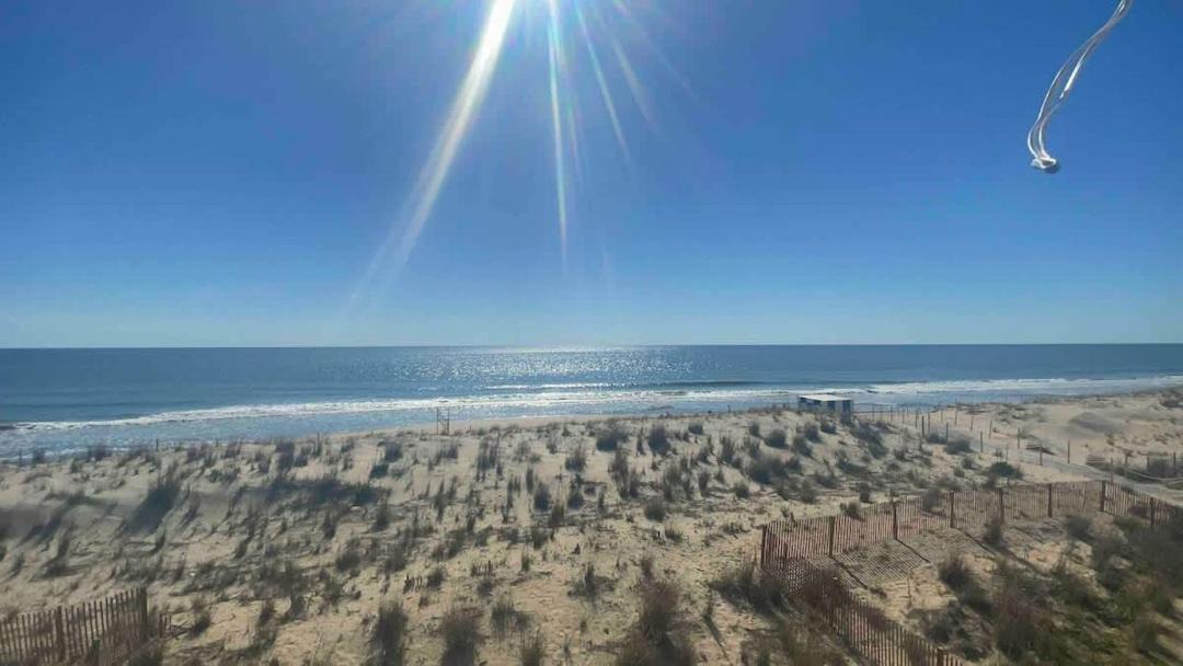 Photo of Others in Rehoboth by the Sea