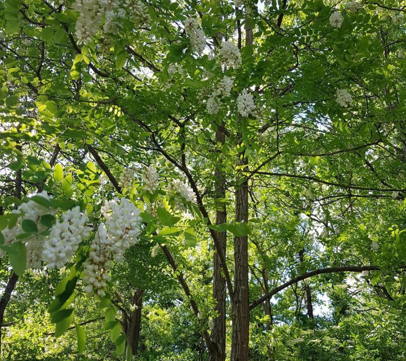 Photo of Outdoor in Bethisy-Saint-Pierre