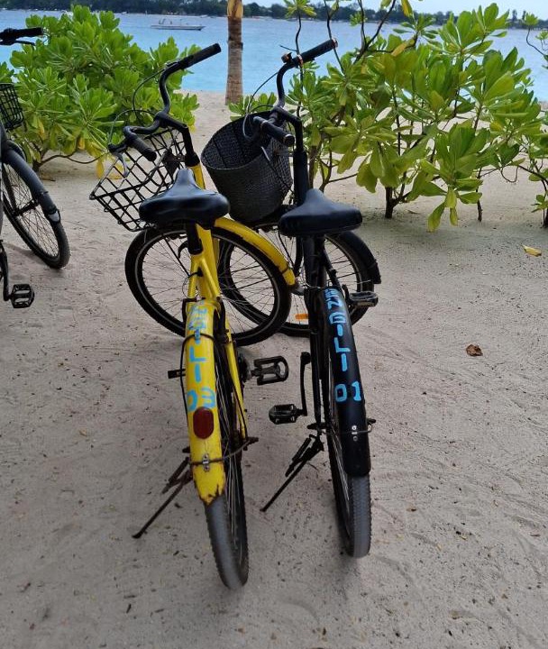 Photo of Others in Gili Meno