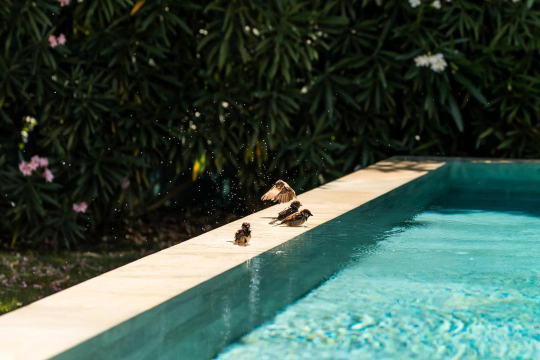 Photo of Others in Sete