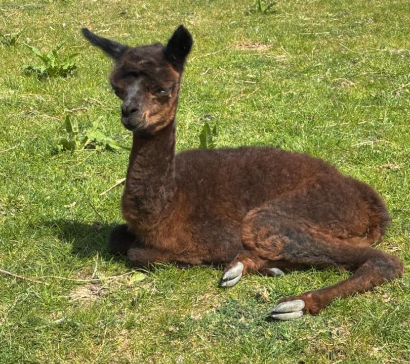 Photo of Others in Ford