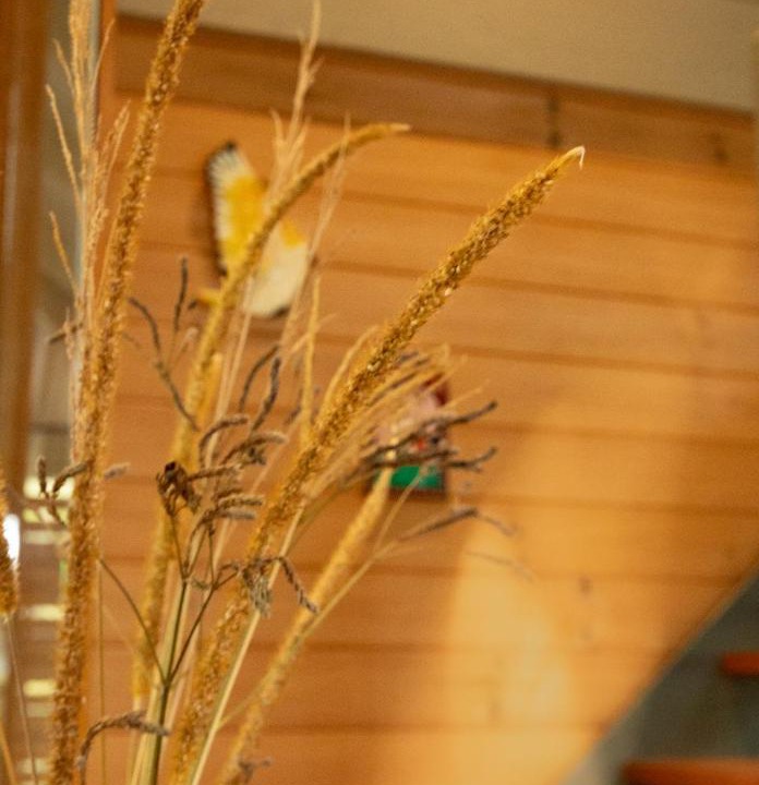 Photo of Others in Bombah Point