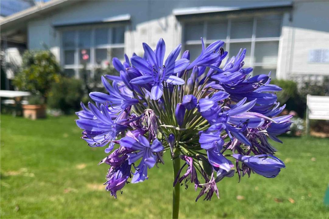 Photo of Outdoor in Frankston