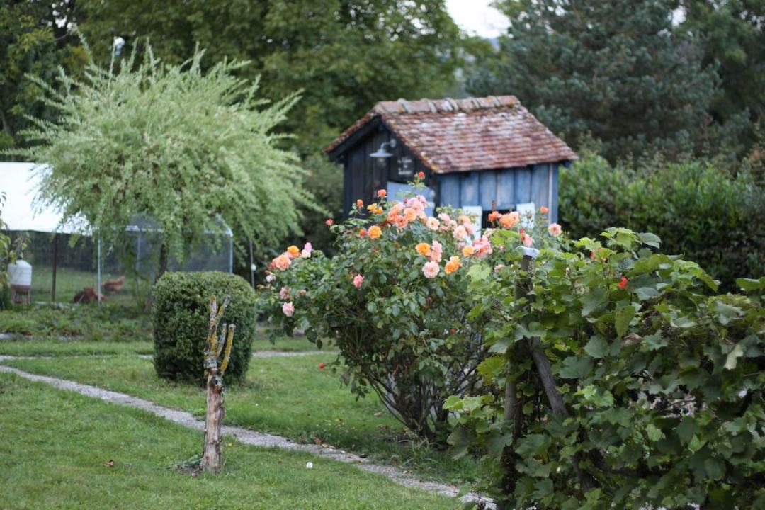 Photo of Others in Verdon