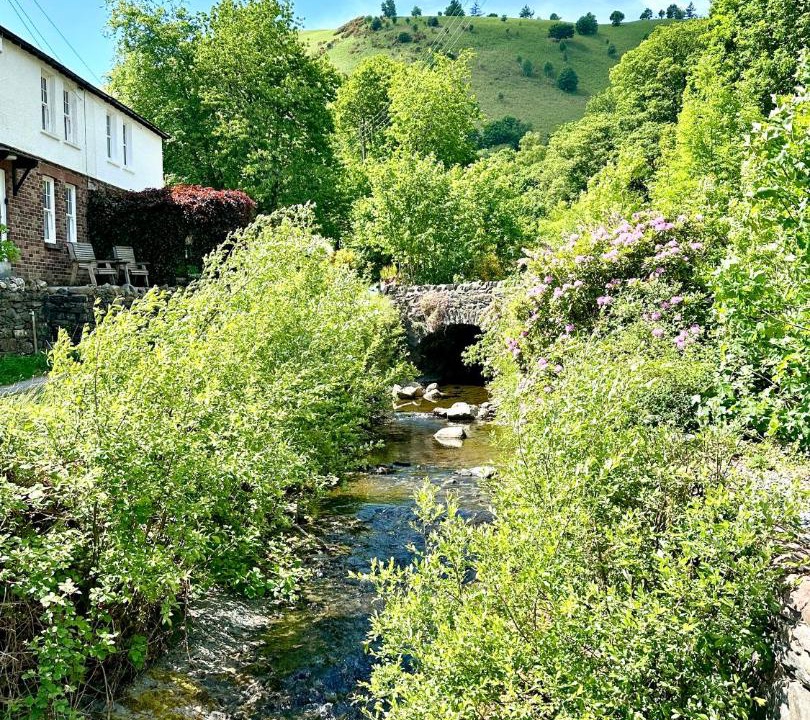 Photo of Others in Braithwaite