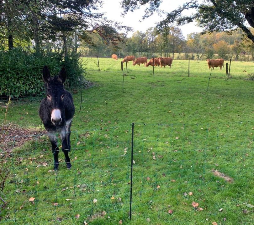 Photo of Others in Maisons Villard