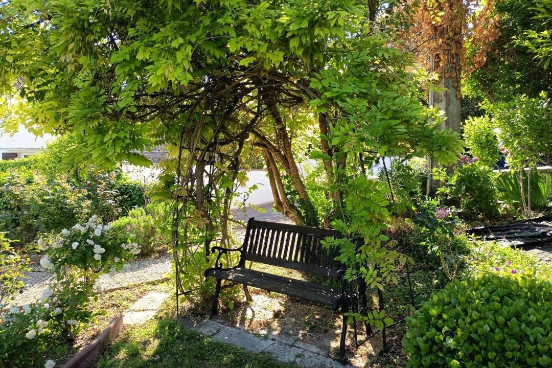 Photo of Others in Collemiers