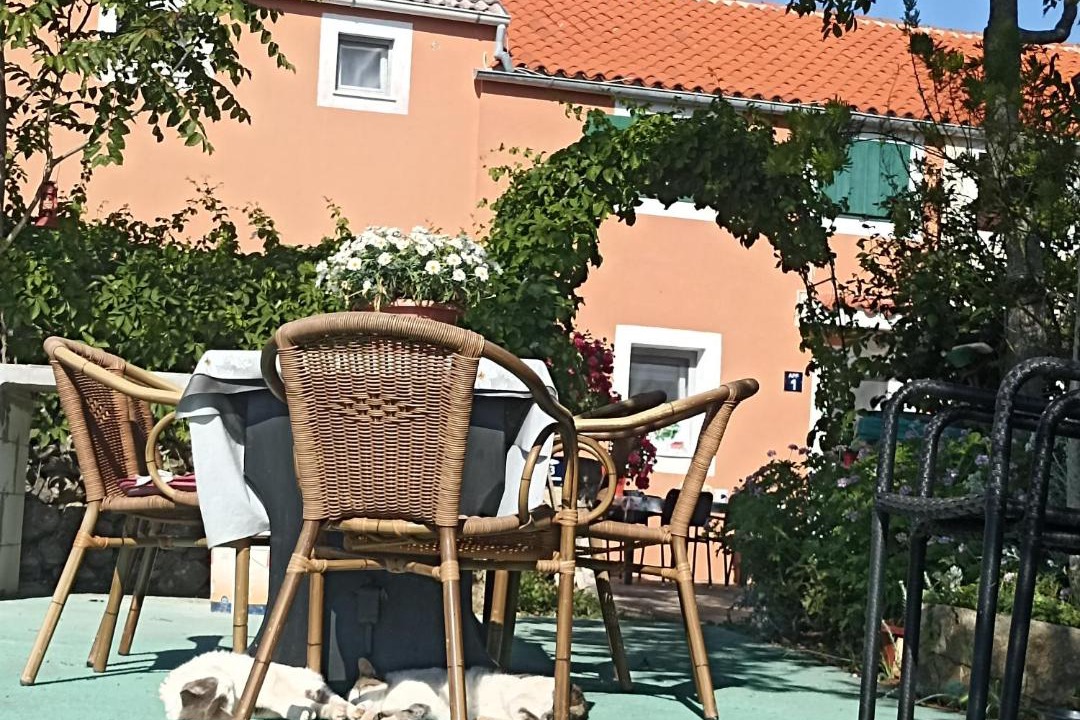 Photo of Others in Veli Losinj